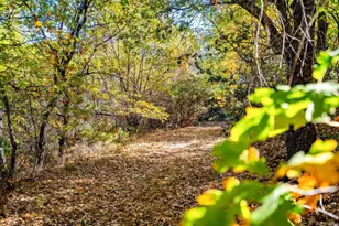 2810 3 Peaks Ln, Julian, CA 92036 - Photo 48