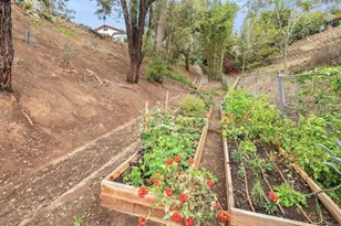 1427 Avocado Rd, Oceanside, CA 92054 - Photo 56