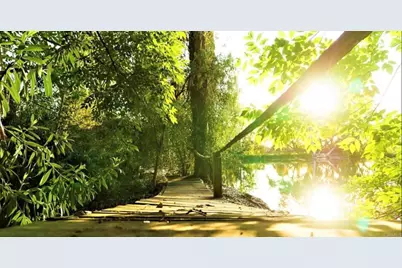 6036 Rainbow Heights Road, Fallbrook, CA 92028 - Photo 12