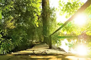 6036 Rainbow Heights Rd, Fallbrook, CA 92028 - Photo 12