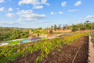 1569 Via Monserate, Fallbrook, CA 92028 - Photo 54