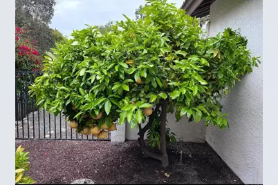 2070 Tiffany Drive, Oceanside, CA 92056 - Photo 48