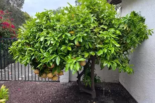 2070 Tiffany Dr, Oceanside, CA 92056 - Photo 48