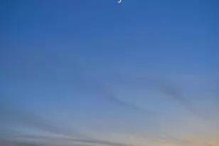 2644 Dos Lomas, Fallbrook, CA 92028 - Photo 72