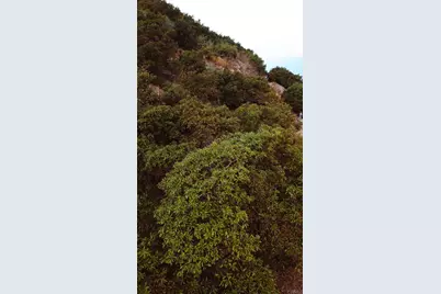 1411 Wild Acres Rd., Vista, CA 92084 - Photo 14