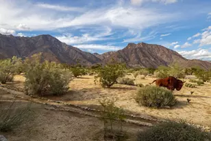 375 Verbena Dr, Borrego Springs, CA 92004 - Photo 42