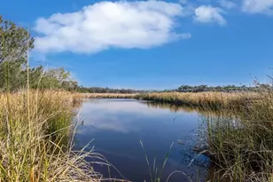 2536 Elderberry Ln, Carlsbad, CA 92008 - Photo 50