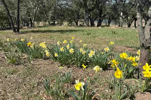25258 Black Canyon Rd, Santa Ysabel, CA 92070 - Photo 44
