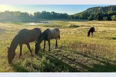 25258 Black Canyon Road, Santa Ysabel, CA 92070 - Photo 60