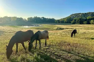 25258 Black Canyon Rd, Santa Ysabel, CA 92070 - Photo 60
