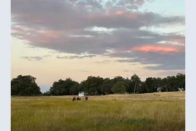 25258 Black Canyon Road, Santa Ysabel, CA 92070 - Photo 56