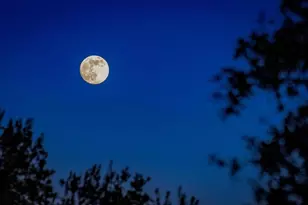 19161 Paradise Mountain Rd, Valley Center, CA 92082 - Photo 38