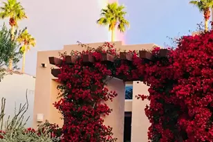 538 Quail Run Dr, Borrego Springs, CA 92004 - Photo 28