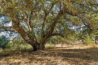 120 Ac Vacant Land Mesa Grande Road, Santa Ysabel, CA 92070 - Photo 22