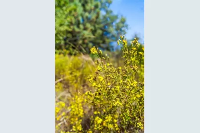 120 Ac Vacant Land Mesa Grande Road, Santa Ysabel, CA 92070 - Photo 8
