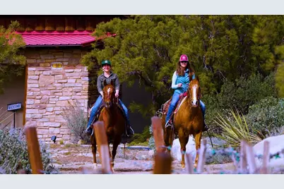 36750 Upper Valley Road, Anza, CA 92539 - Photo 34