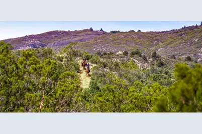 36750 Upper Valley Road, Anza, CA 92539 - Photo 10