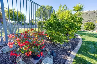 970 Idyllwild Way, San Marcos, CA 92078 - Photo 60