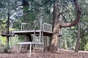 3413 Fern Meadow Rd, Palomar Mountain, CA 92060 - Photo 40