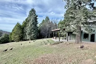 3413 Fern Meadow Rd, Palomar Mountain, CA 92060 - Photo 32