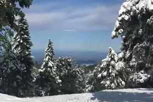 3413 Fern Meadow Rd, Palomar Mountain, CA 92060 - Photo 58