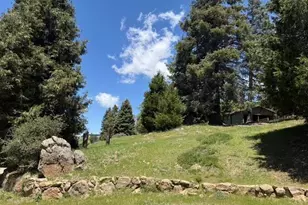 3413 Fern Meadow Rd, Palomar Mountain, CA 92060 - Photo 38