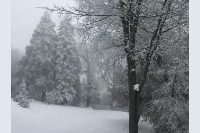 3413 Fern Meadow Road, Palomar Mountain, CA 92060 - Photo 54