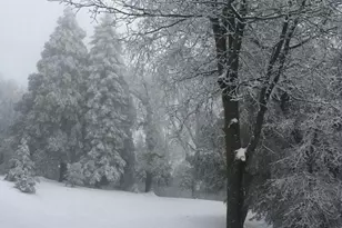 3413 Fern Meadow Rd, Palomar Mountain, CA 92060 - Photo 54