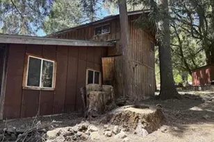 22021 Crestline Rd, Palomar Mountain, CA 92060 - Photo 6