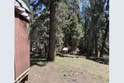 22021 Crestline Road, Palomar Mountain, CA 92060 - Photo 4