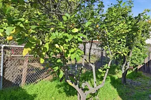 145 Barhaven Ln, Fallbrook, CA 92028 - Photo 42