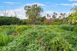 2362 Lone Oak Ln, Vista, CA 92084 - Photo 32