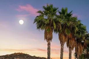 16403 Arena Dr, Ramona, CA 92065 - Photo 38