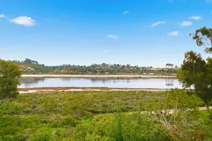 1313 Shorebird Ln, Carlsbad, CA 92011 - Photo 38