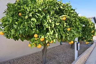 634 Via Santa Cruz, Vista, CA 92081 - Photo 4