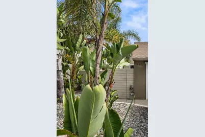 943 Windy Hill, Encinitas, CA 92024 - Photo 66
