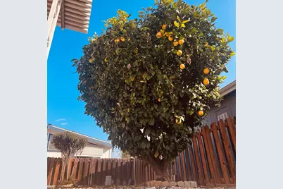 27250 Murrieta Road #364, Menifee, CA 92586 - Photo 1