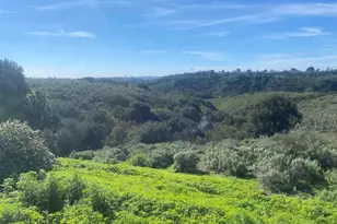 6470 Lanston St, San Diego, CA 92111 - Photo 2