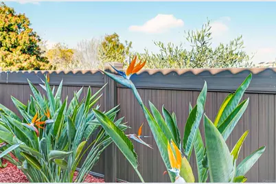 220 Vista Montana Way, Oceanside, CA 92054 - Photo 48