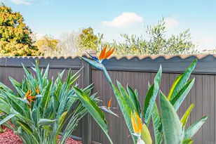 220 Vista Montana Way, Oceanside, CA 92054 - Photo 48