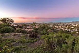1619 N Willowspring Dr, Encinitas, CA 92024 - Photo 6