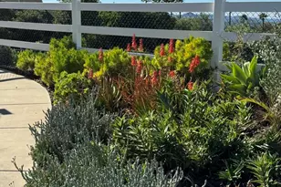 30606 Falling Star Cir, Valley Center, CA 92082 - Photo 46