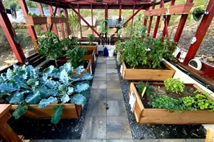 3565 Via Loma Vista, Escondido, CA 92029 - Photo 44