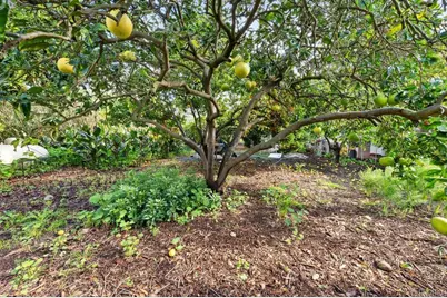 2360 2362 Lone Oak Lane, Vista, CA 92084 - Photo 22