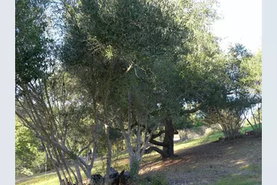 725 Yucca Road, Fallbrook, CA 92028 - Photo 44