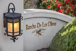 6870 La Valle Plateada, Rancho Santa Fe, CA 92067 - Photo 38