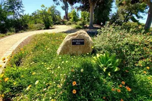 6015 Dassia Way, Oceanside, CA 92056 - Photo 58