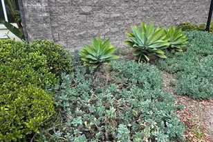 1623 Lakoya Dr, Chula Vista, CA 91913 - Photo 4