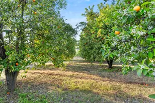 13371 Sage Meadow Ln, Valley Center, CA 92082 - Photo 36