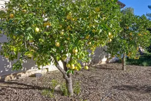 28521 Gladstone Ct, Escondido, CA 92026 - Photo 54